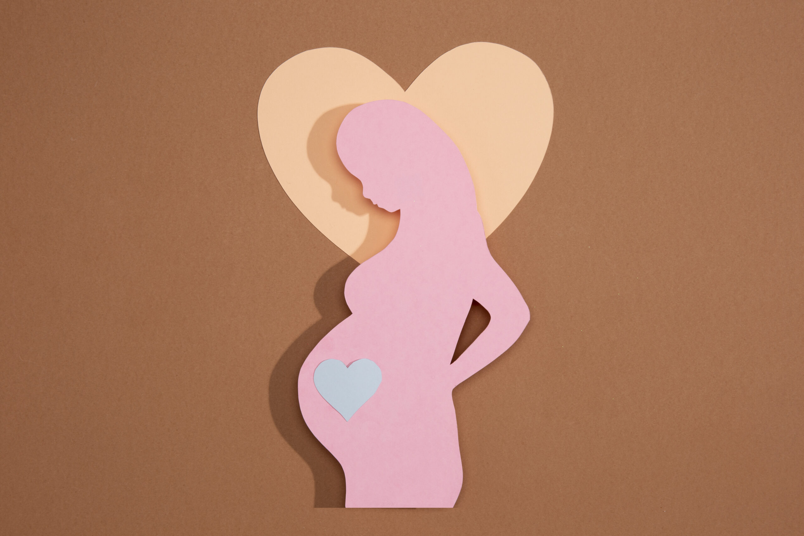 Read more about the article A mother’s love